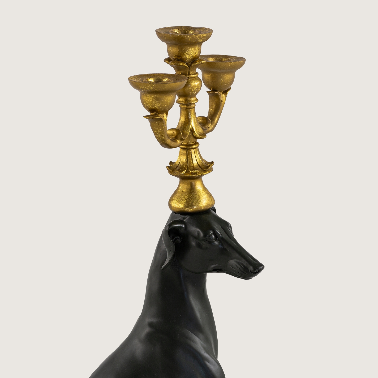 Şamdanli Köpek Si̇yah