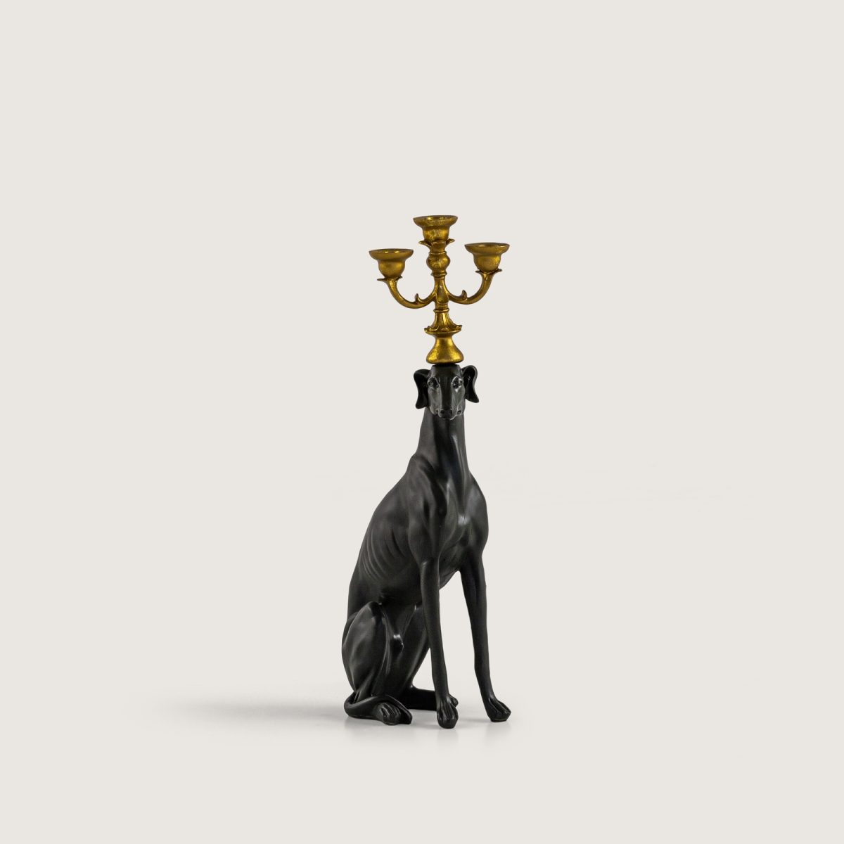 Şamdanli Köpek Si̇yah - Görsel 2