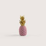 ANANAS PEMBE