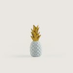 ANANAS BEYAZ