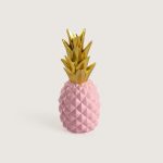 ANANAS PEMBE - Görsel 2