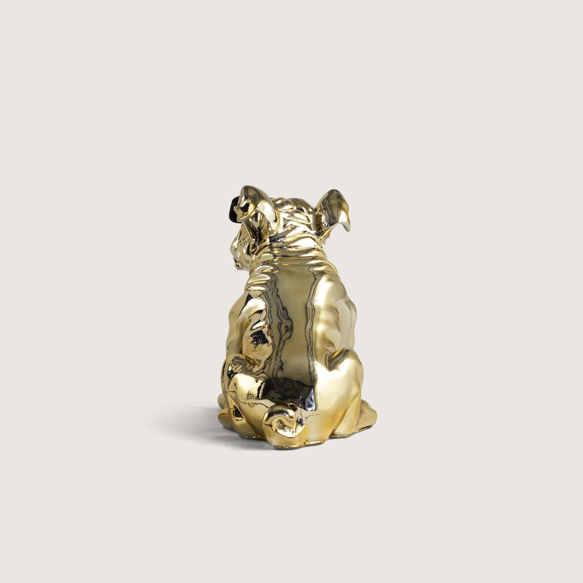 GÖZLÜKLÜ BULLDOG - Görsel 6