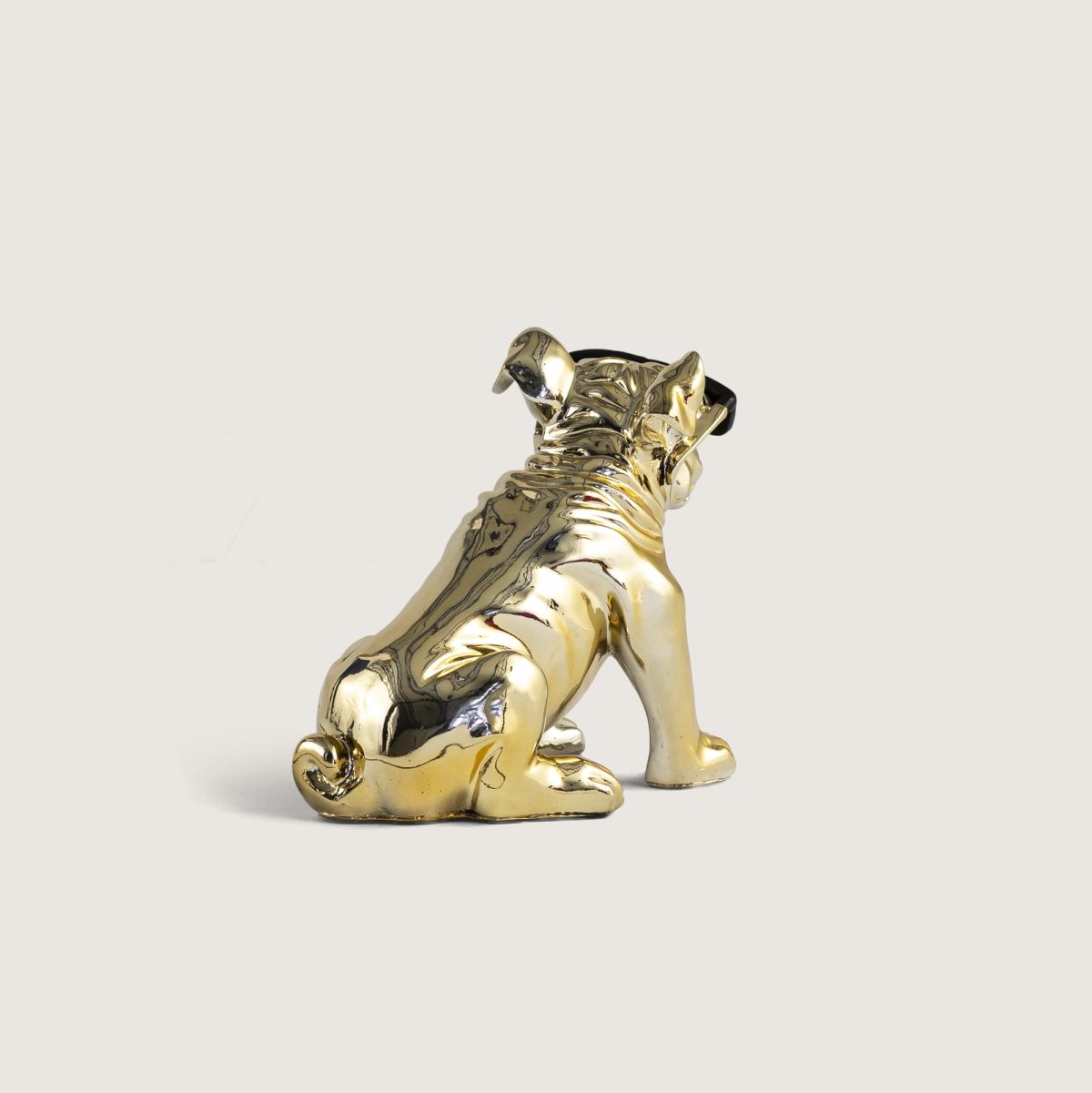 GÖZLÜKLÜ BULLDOG - Görsel 7