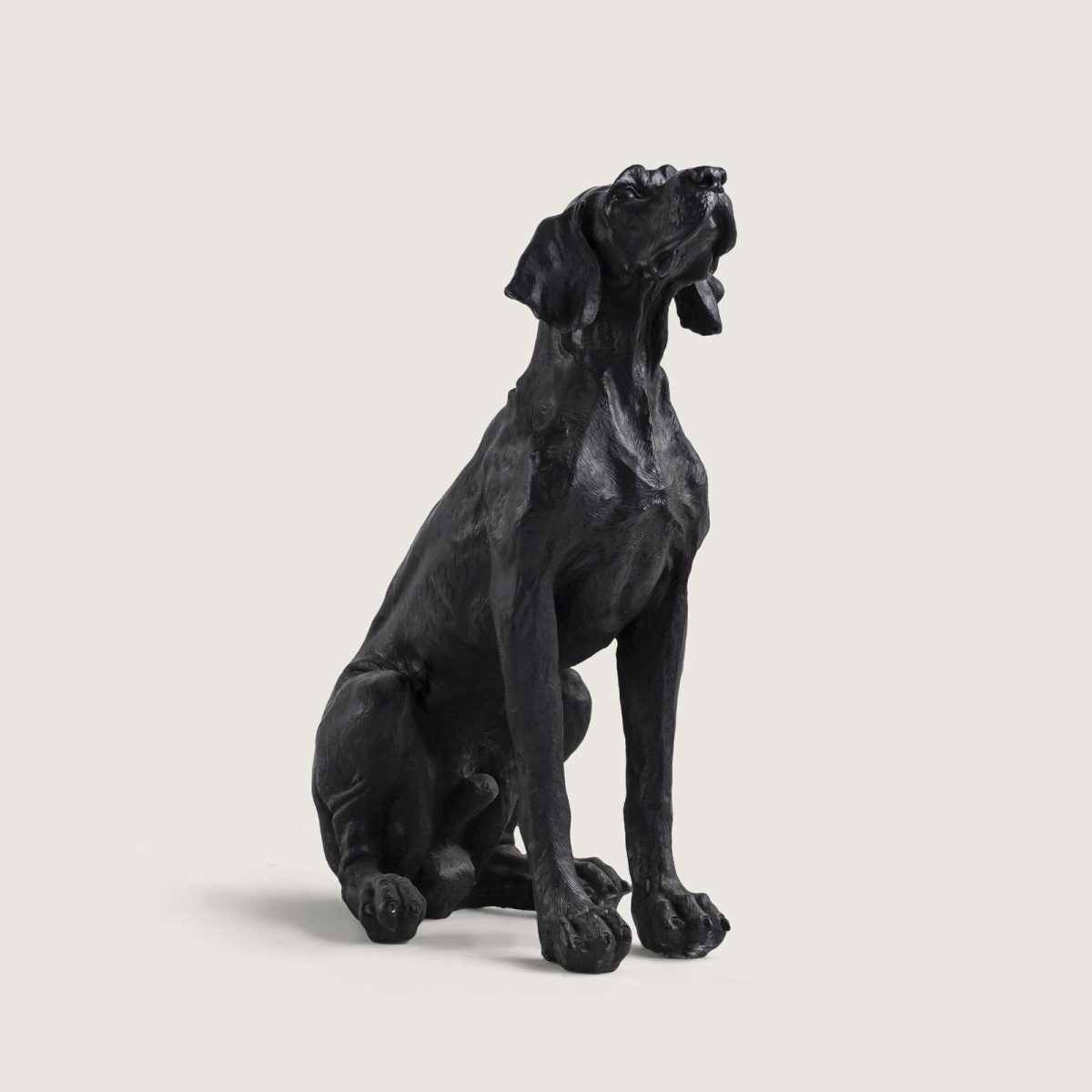 DEV AV KÖPEĞİ - Görsel 2