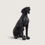 DEV AV KÖPEĞİ - Görsel 2