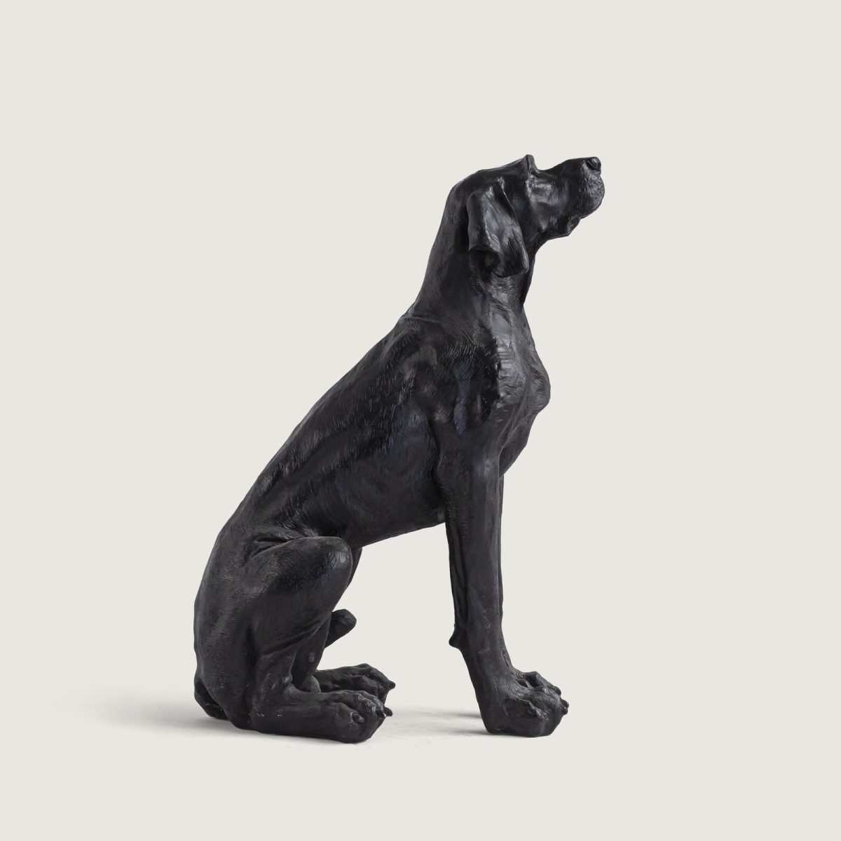DEV AV KÖPEĞİ - Görsel 3