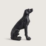 DEV AV KÖPEĞİ - Görsel 3
