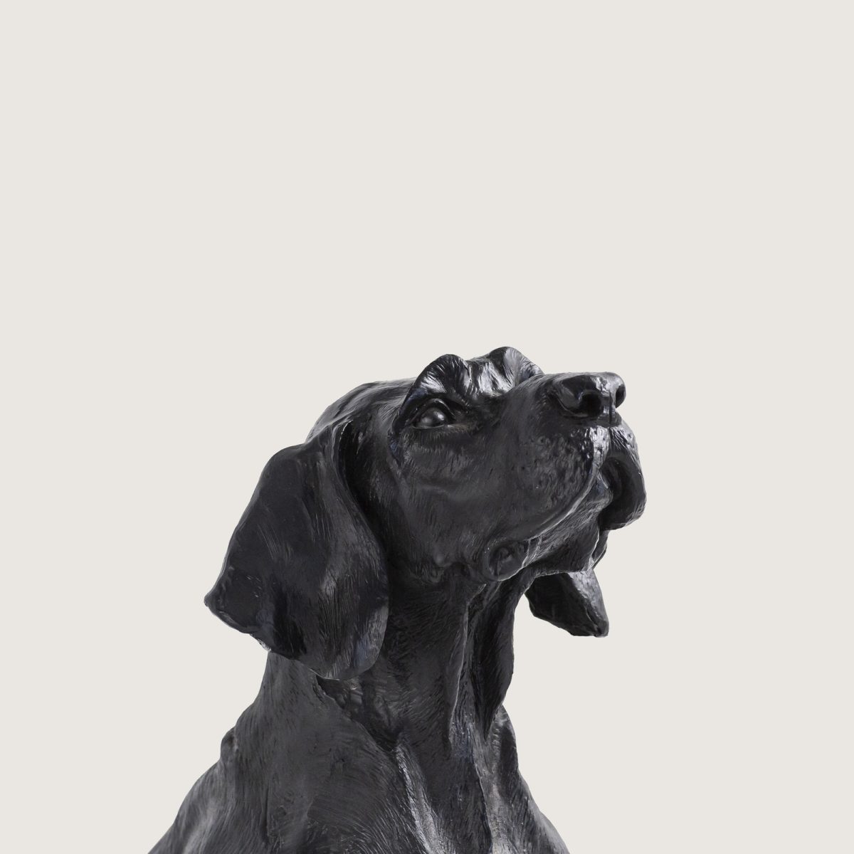 DEV AV KÖPEĞİ - Görsel 5