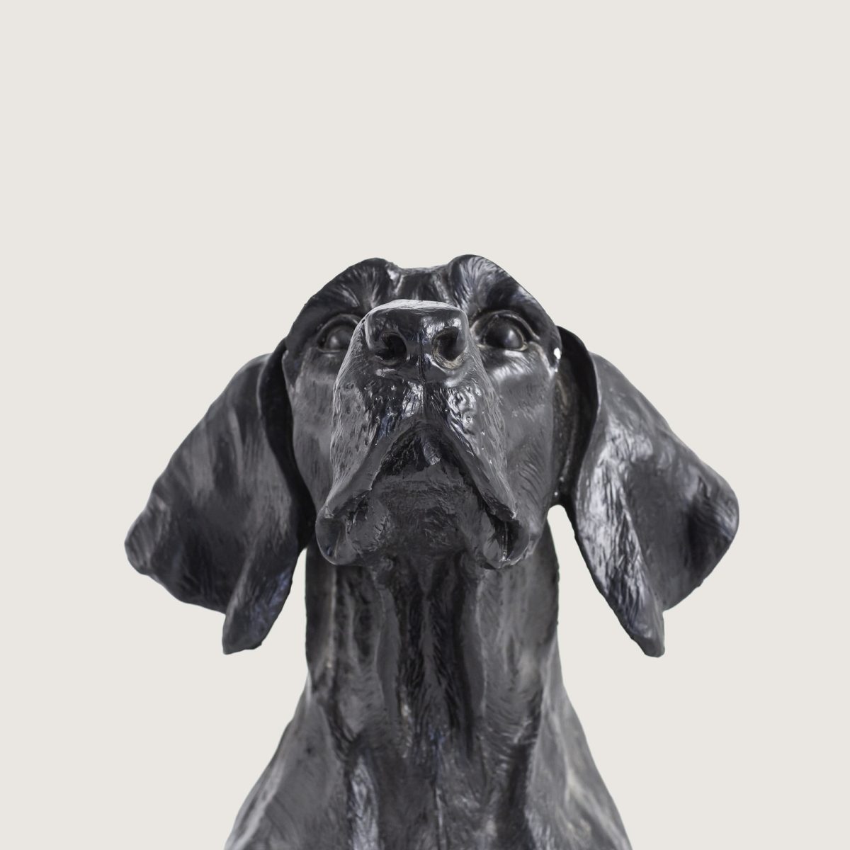 DEV AV KÖPEĞİ - Görsel 6