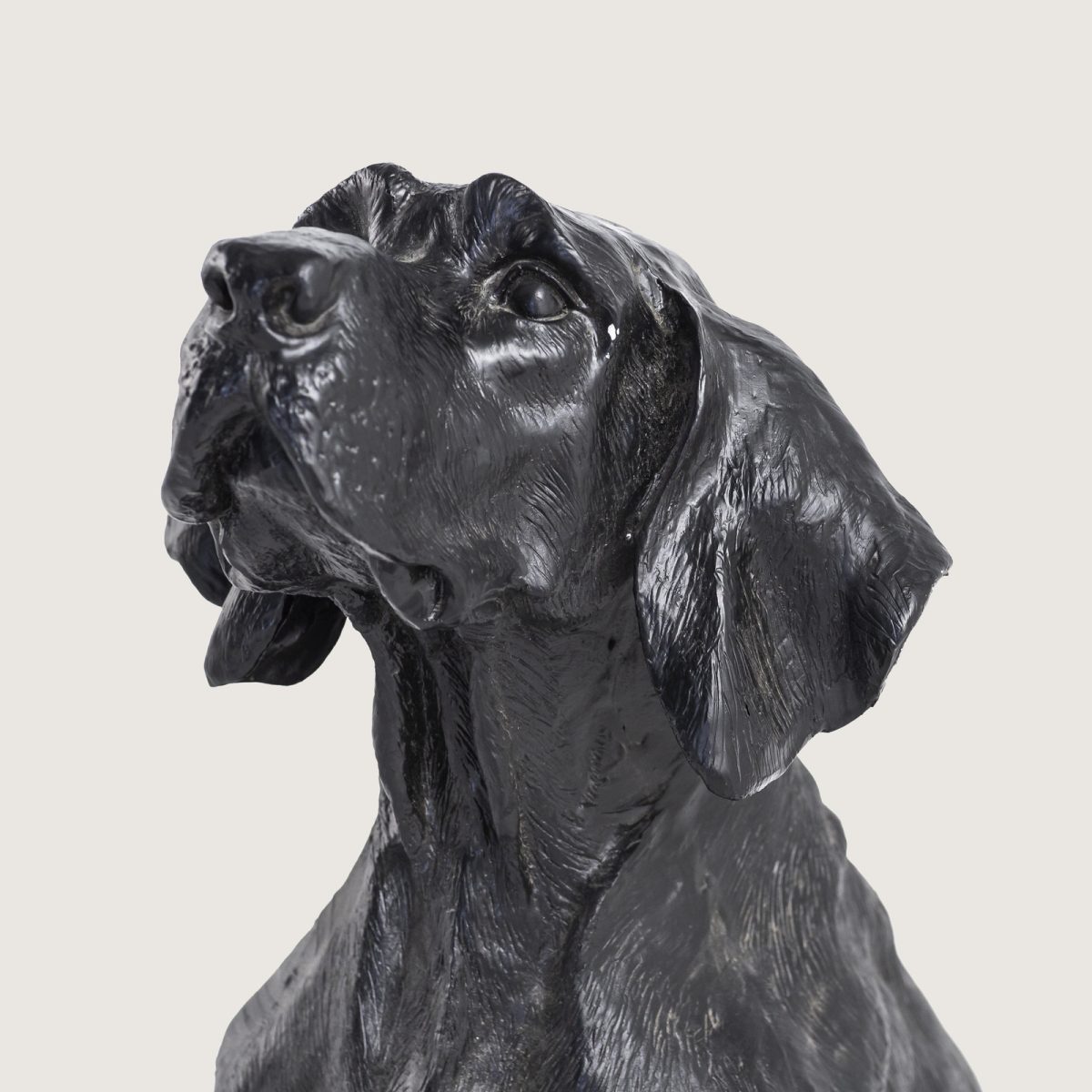 DEV AV KÖPEĞİ - Görsel 7
