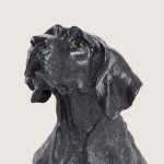 DEV AV KÖPEĞİ - Görsel 7