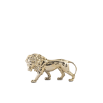 KAİDESİZ ASLAN , GOLD KAPLAMA